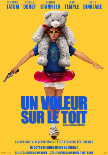 Un voleur sur le toit