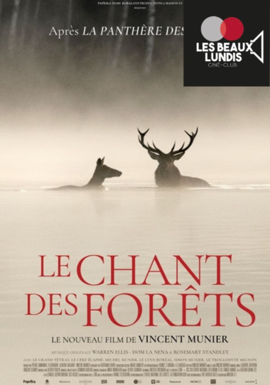 Le chant des forêts LBL